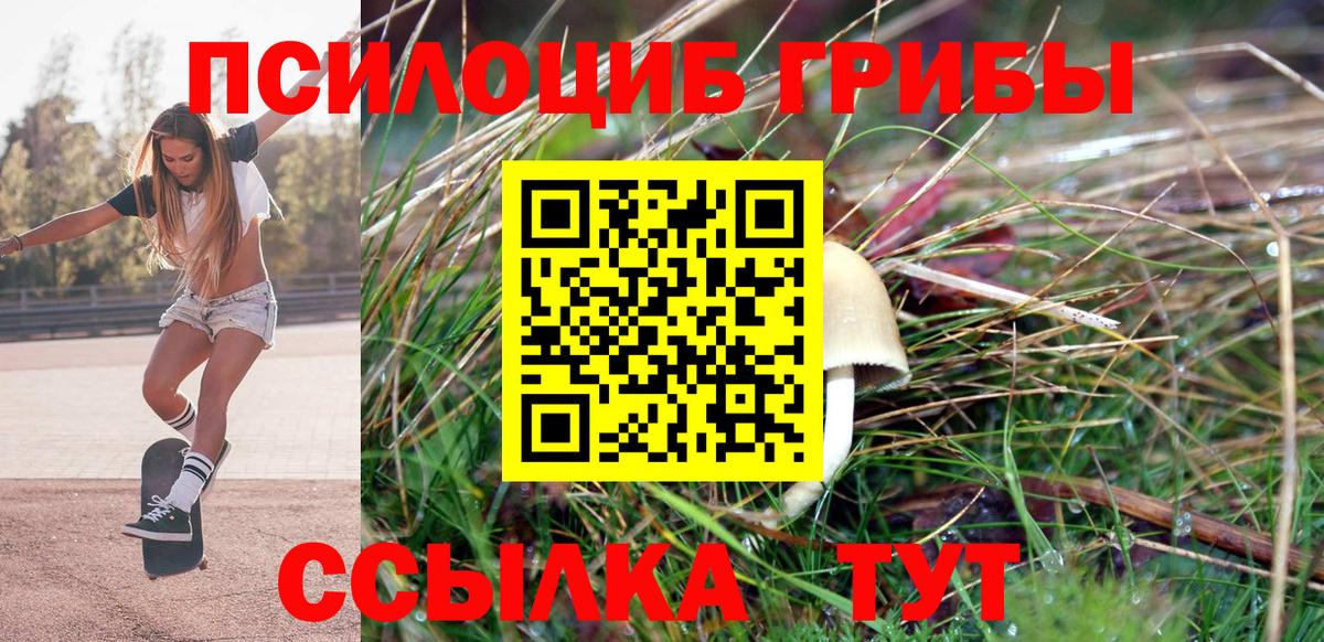 Псилоцибиновые грибы прущие грибы Луховицы