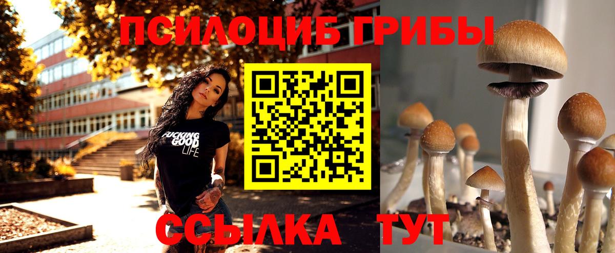 Луховицы  Галлюциногенные грибы мухоморы  Вход с VPN 
